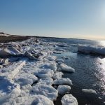 Eisschollen auf dem Meer