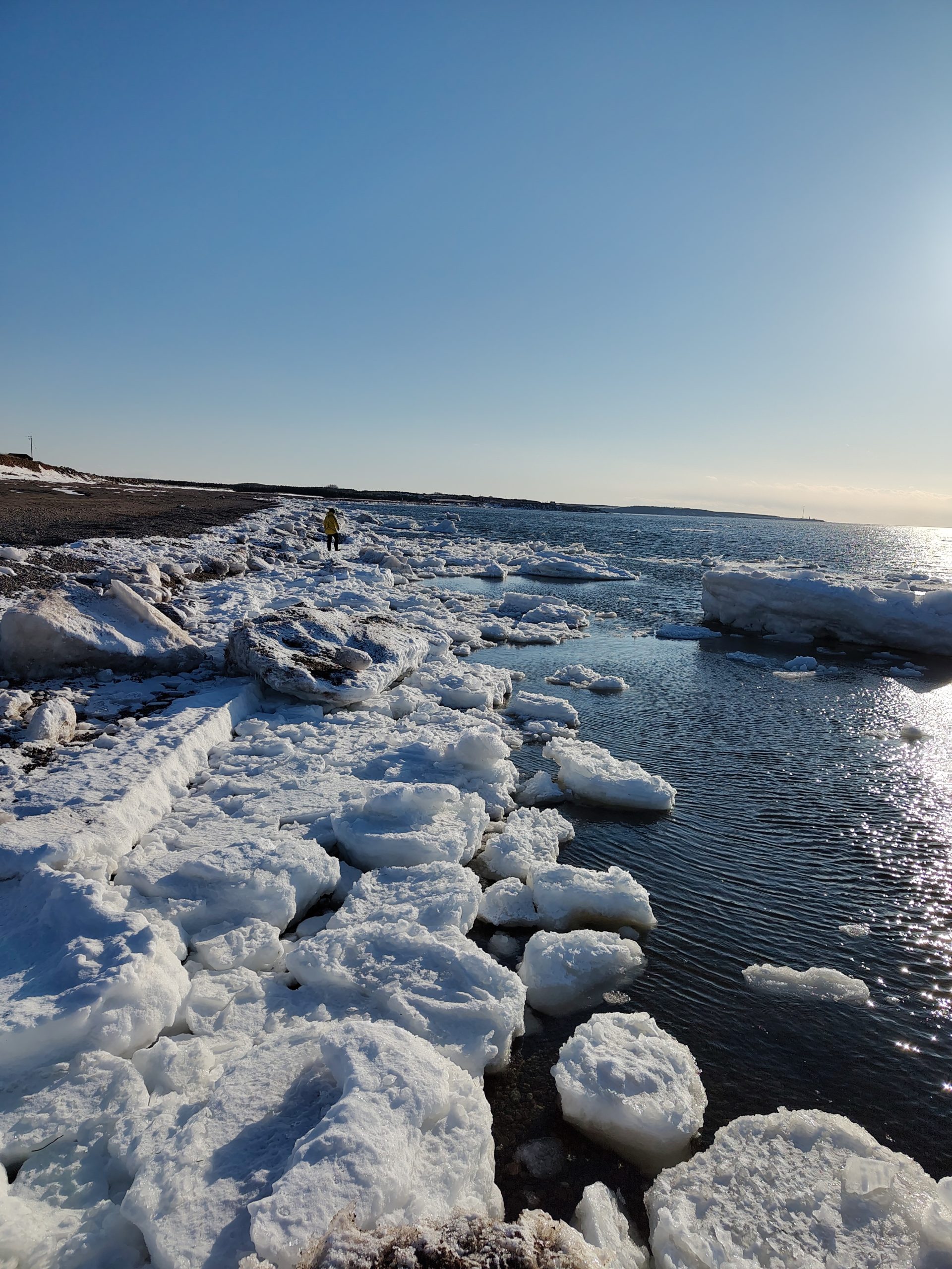 Eisschollen auf dem Meer