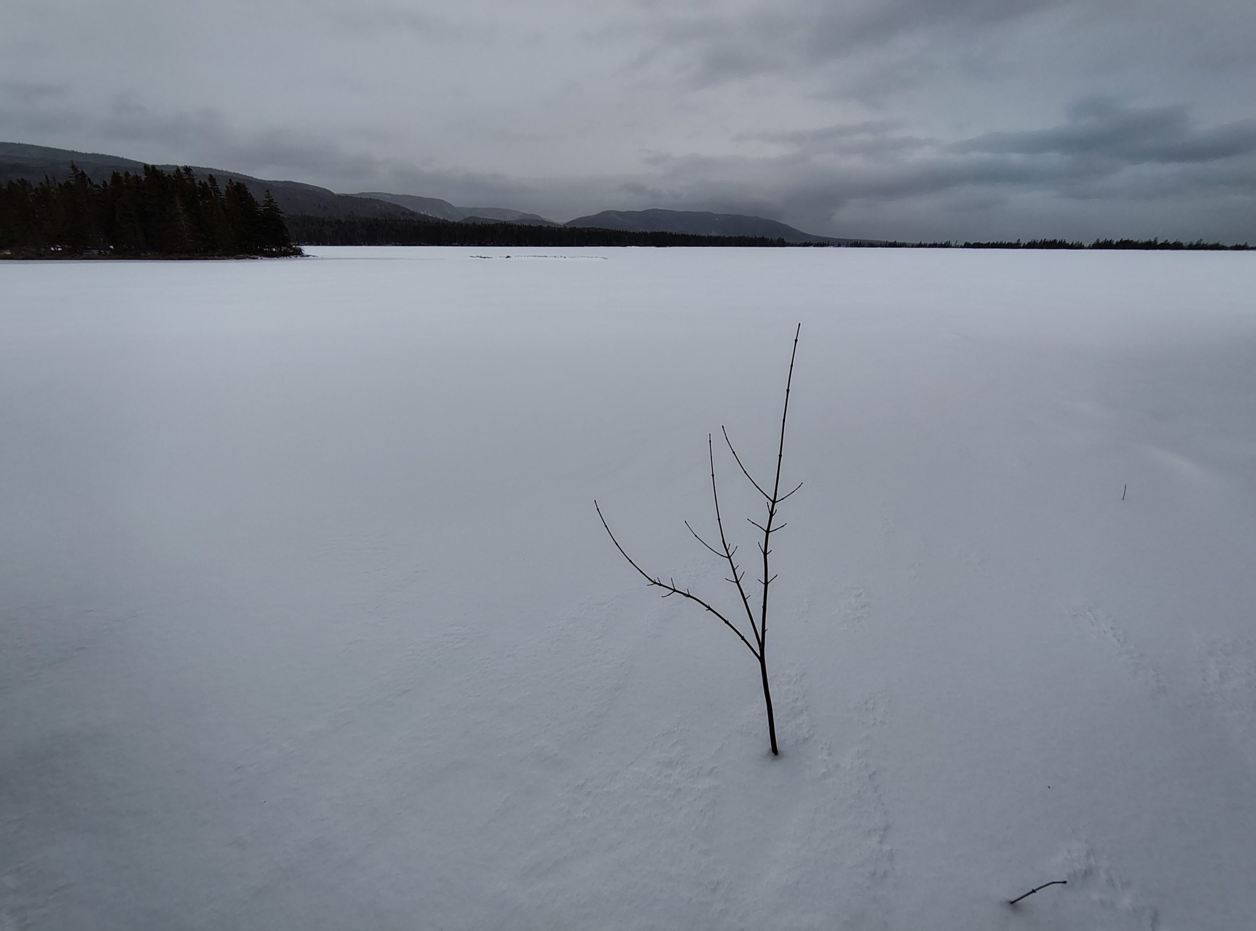 Woche 3 | Teil 2: Römms