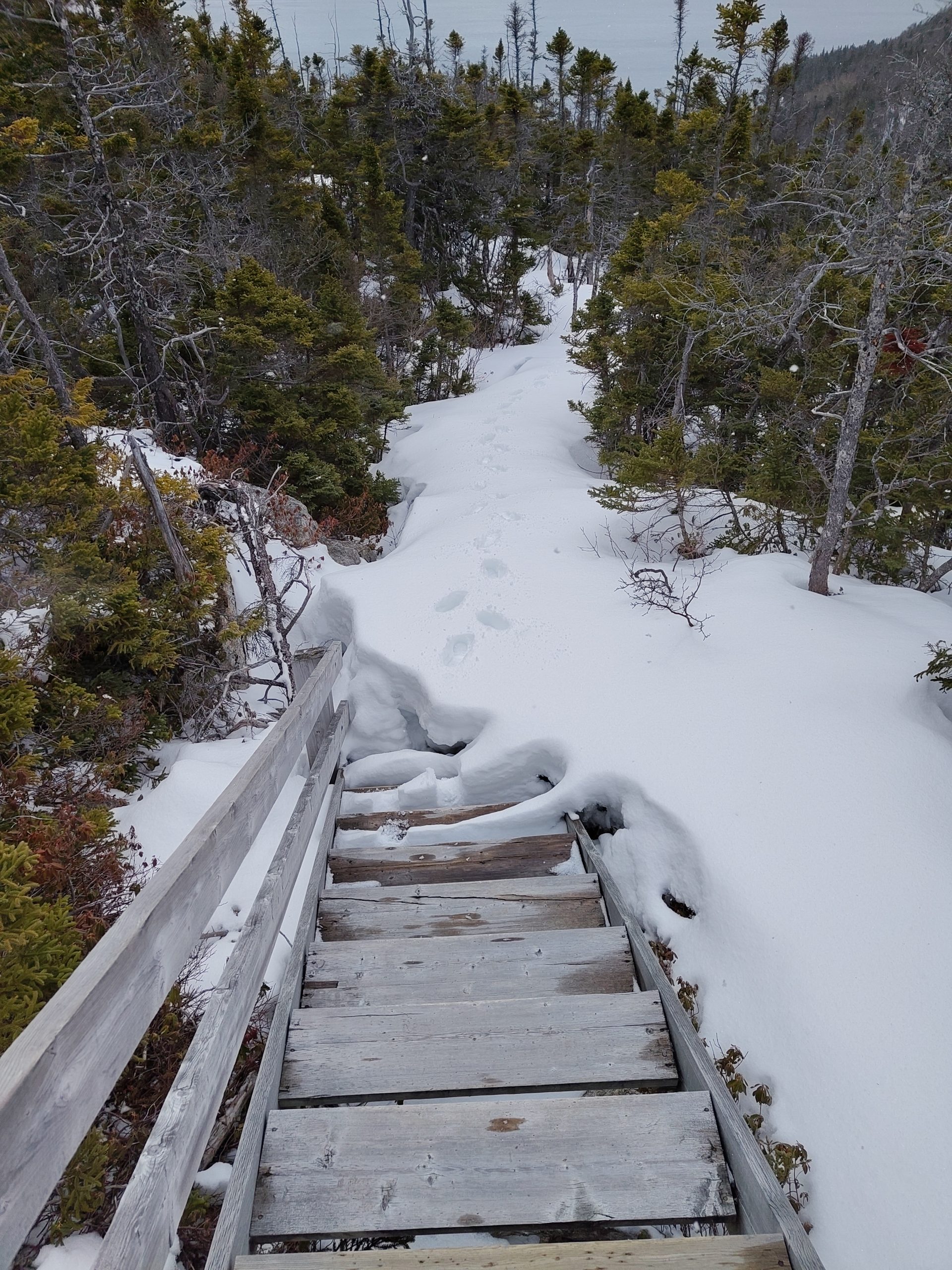 Woche 4 | Teil 1: Neue Woche, neue Provinz