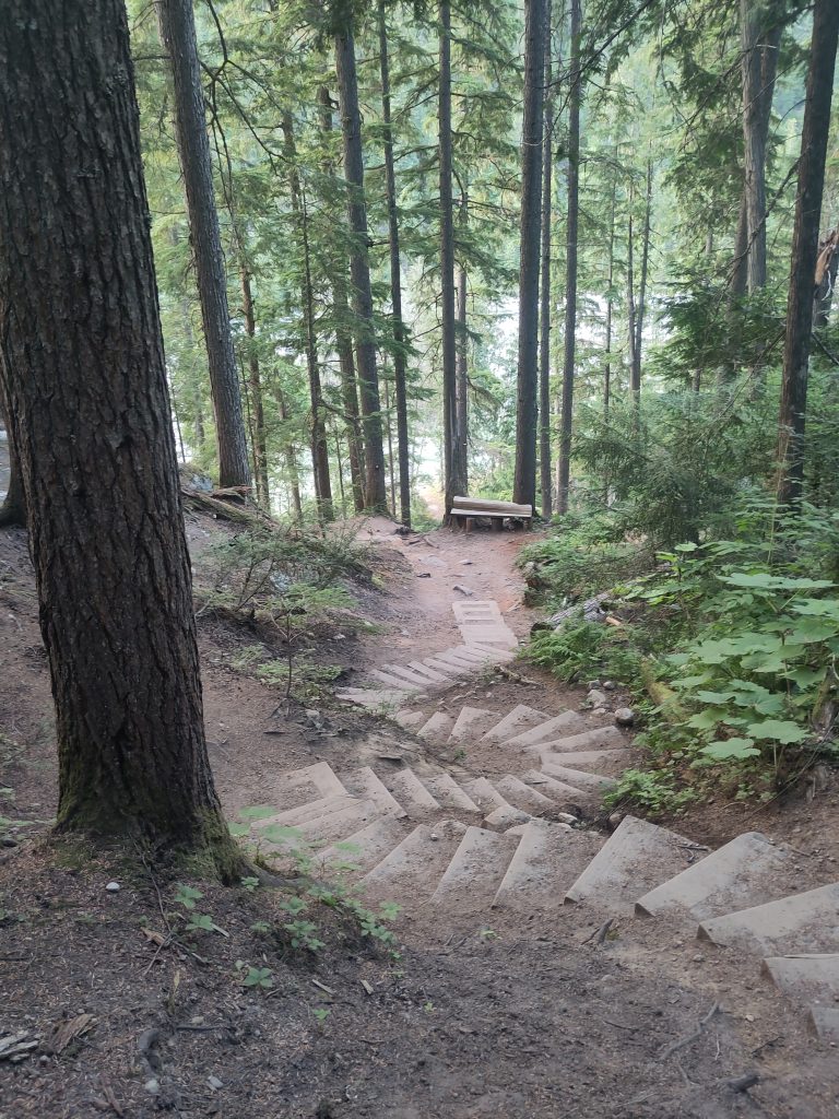 Treppe im Wald runter zum Fluss
