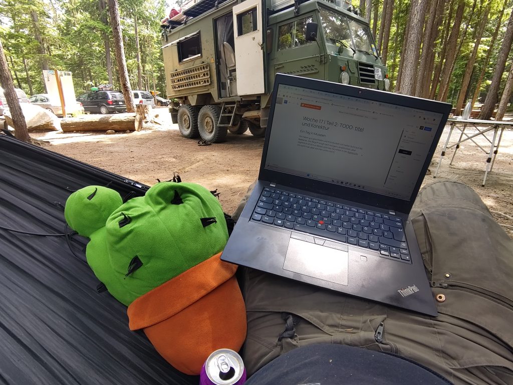 Hängematte, Kuschekaktus und Laptop