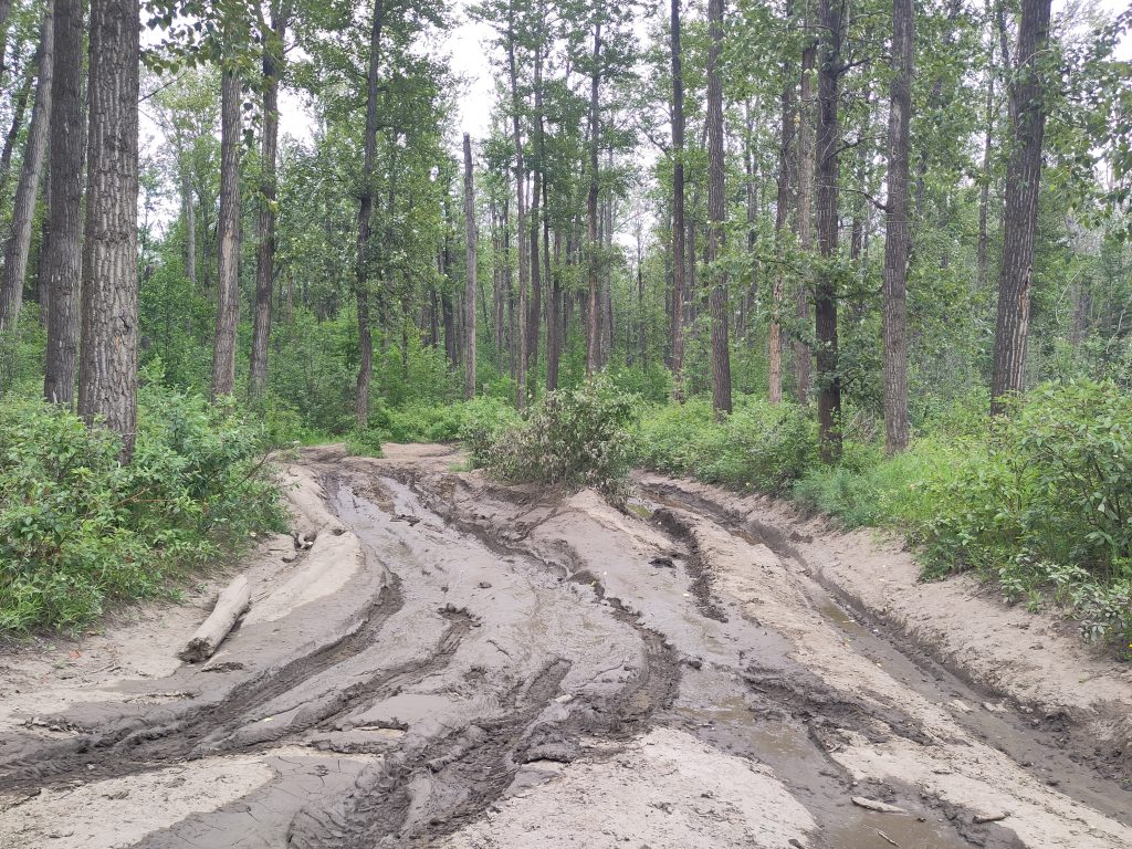 schlammige Offraodstrecke im Wald