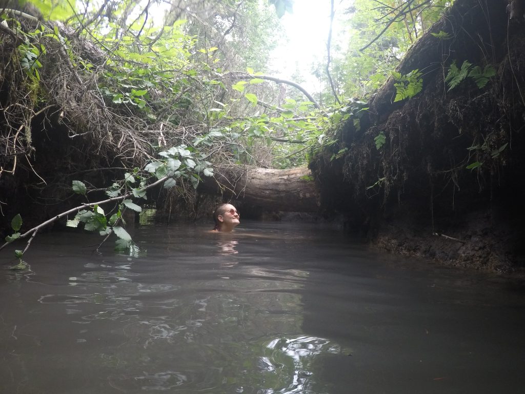 Bretti schaut ins herein fallende Licht aus dem Wasser