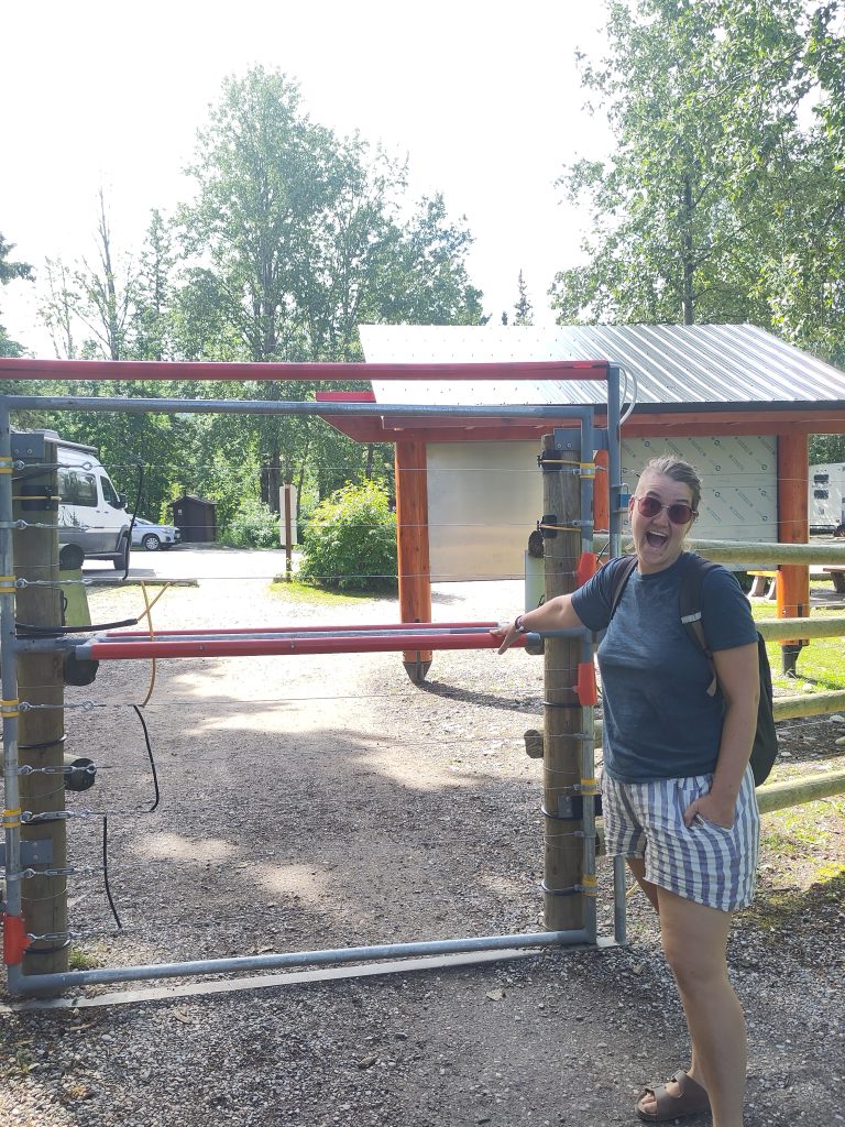 Bretti am Tor im elektrozaun mit schockiertem Gesichtsausdruck