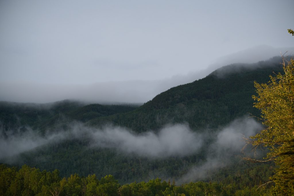 Wolken verhüllen die Gipfel und im Vordergrund wird ein baum von der Sonne beschienen